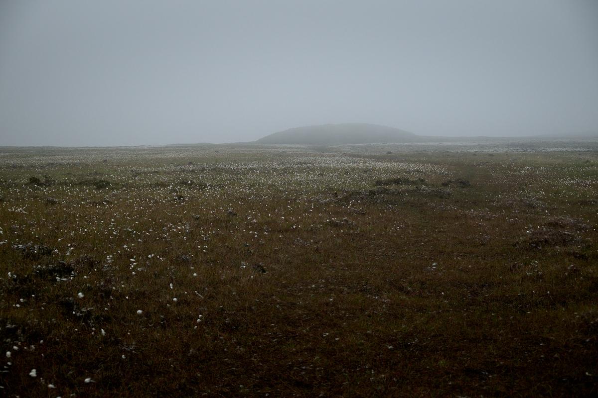DSC_5602.jpg