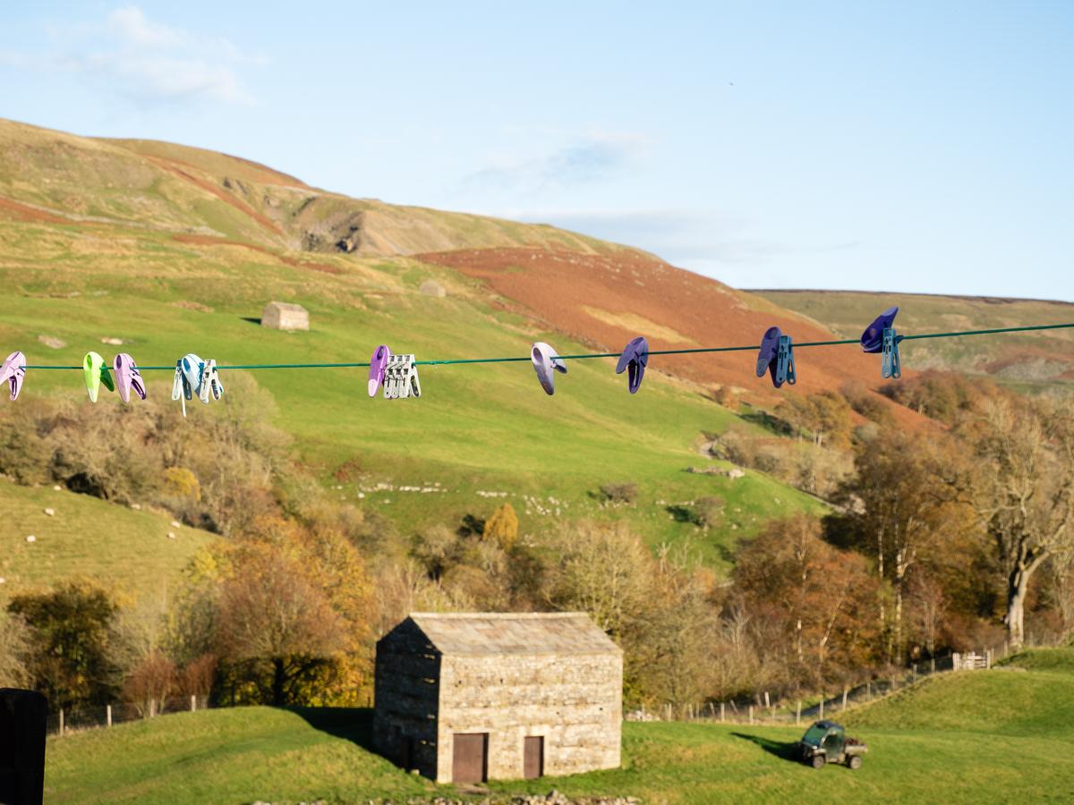 PA225723.jpg